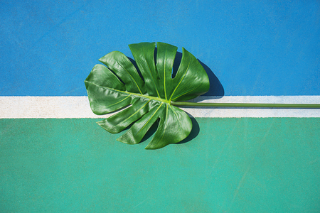 Tennis summer concept with green monstera leaf on white line on hard tennis court. Flat lay, top view, copy space.の写真素材