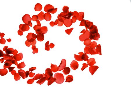 Red coral pink rose petals pattern on white background, isolated. Flat lay, top view, copy space. Valentines day, party, wedding, holiday, romance beauty concept.の写真素材