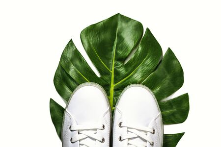 White sneakers are lying on green monstera leaf on white background, isolated. Top view. Flat lay. Copy space. Summer tropical concept.の写真素材
