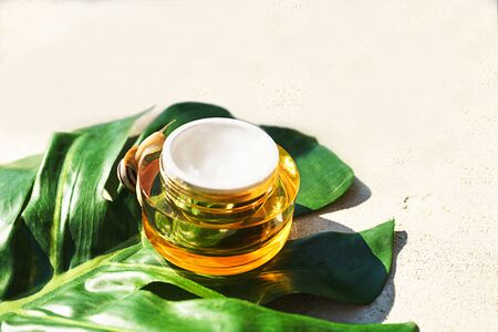 Snail and a jar of skin cream on green monstera leaf on concreteの写真素材