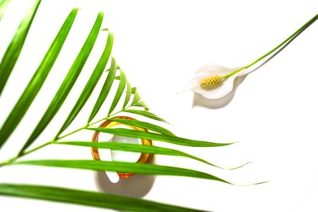 Beauty skin care cosmetic cream serum, gel or mask as cosmetics product with tropical palm leaf and flower on whiteの写真素材