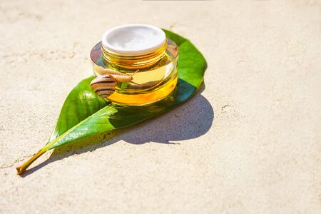 Snail and a jar of skin cream on green leaf on concreteの写真素材