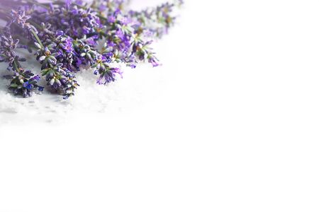 Spa massage setting with lavender flowers and cosmetic salt on white background, isolated. Close-up. Copy space. Flat lay, top view.の写真素材
