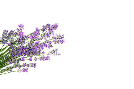 Lavender flowers pattern isolated on white background. Flat lay, top view, copy space. Selective focus.の写真素材
