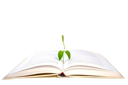 Book and plant on white background, isolated. Back to school, education, knowledge concept.の写真素材