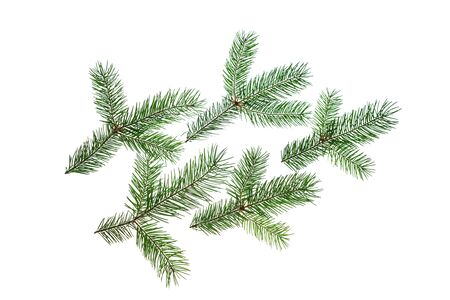 Creative Christmas composition made of green fir tree branches on whiteの写真素材
