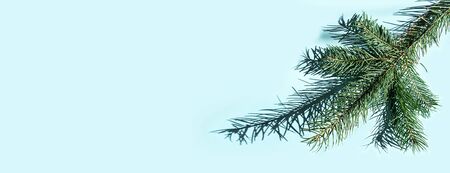Christmas fir tree branches and shadows on pastel blueの写真素材