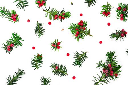 Christmas pattern of fir branches with red berriesの写真素材