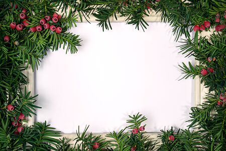 Creative layout made from Christmas tree branches with red berries and wooden frameの写真素材