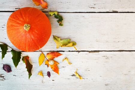 Autumn still life with pumpkin, fall colorful leaves and berries on old wooden background. Orange...