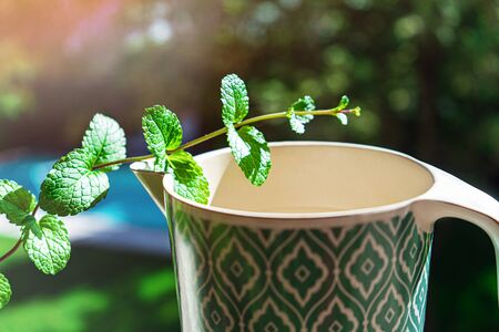 Fresh green mint or mentha leaves and water jug on natural blurred background with sun light. Close up of peppermint. Healthy eating diet concept.の写真素材