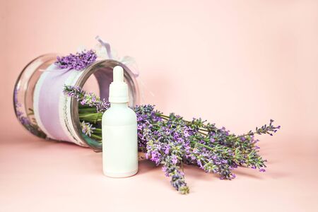 Natural cosmetics. Fresh lavender flowers and bottle essential oil or serum on pastel pink background. Alternative home medicine. Close-up, vintage style.の写真素材