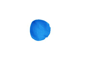 Classic Blue color 2020 concept. Blue rose petals pattern on white background, isolated. Flat lay, top view, copy space. Valentines day, party, wedding, holiday, romance beauty concept.の写真素材