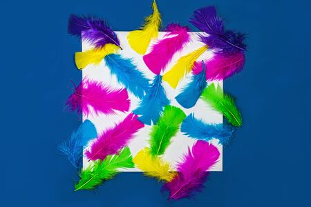 Colorful pattern made of feathers white sheet of paper on classic blue color background. MInimal boho style color concept. Flat lay, top view, copy space. Classic Blue color 2020 concept.の写真素材