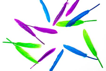 Colorful pattern made of feathers on white background, isolated. MInimal boho style color concept. Flat lay, top view, copy space. Classic blue color of the year 2020.の写真素材