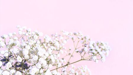 Beautiful bouquet of white flowers with shadows on light pink background. Concept for wedding party, birthday holiday greeting card. Close up, top view, flat lay, copy space. Soft focus.の写真素材