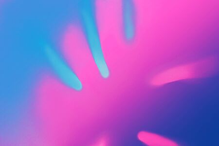 Bright Blue color tropical palm leaf shadow in trendy duotone pink neon background. Flat lay. Minimal summer concept with palm tree leaf. Classic Blue color 2020 concept. Copy space. Blurred.の写真素材