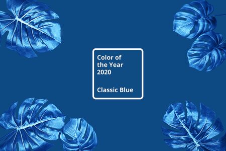 Tropical background with blue leaves Monstera. Flat lay, top view. Classic Blue color 2020 concept.の写真素材