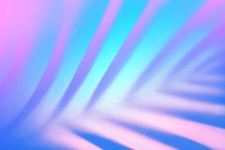 Bright Blue color tropical palm leaf shadow in trendy duotone pink neon background. Flat lay. Minimal summer concept with palm tree leaf. Classic Blue color 2020 concept. Copy space. Blurred.の写真素材