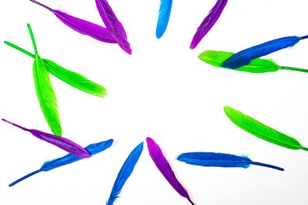 Colorful pattern made of feathers on white background, isolated. MInimal boho style color concept. Flat lay, top view, copy space. Classic blue color of the year 2020.の写真素材