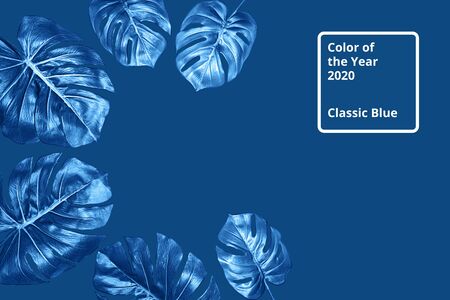 Tropical background with blue leaves Monstera. Flat lay, top view. Classic Blue color 2020 concept.の写真素材