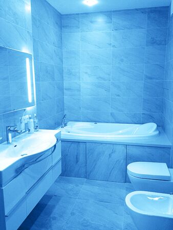 Luxury modern beige and white bathroom interior. Classic Blue color 2020 concept.の写真素材