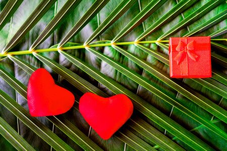 Two red hearts and gift box on palm leaves background. Valentine's day card on tropical nature layout. Flat lay, top view, copy space.の写真素材