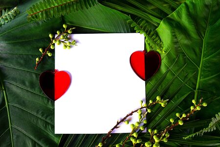 Two red hearts on palm leaves background. Valentine's day card on nature background. Flat lay, top view, copy space.の写真素材