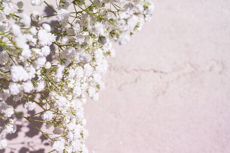 Beautiful bouquet of white flowers with shadows on light gray concrete background. Concept for wedding party, birthday holiday greeting card. Close up, top view, flat lay, copy space. Soft focus.の写真素材