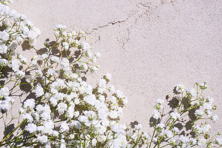 Beautiful bouquet of white flowers with shadows on light gray concrete background. Concept for wedding party, birthday holiday greeting card. Close up, top view, flat lay, copy space. Soft focus.の写真素材