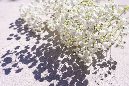 Beautiful bouquet of white flowers with shadows on light gray concrete background. Concept for wedding party, birthday holiday greeting card. Close up, top view, flat lay, copy space. Soft focus.の写真素材