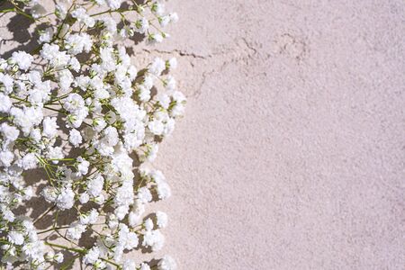 Beautiful bouquet of white flowers with shadows on light gray concrete background. Concept for wedding party, birthday holiday greeting card. Close up, top view, flat lay, copy space. Soft focus.の写真素材