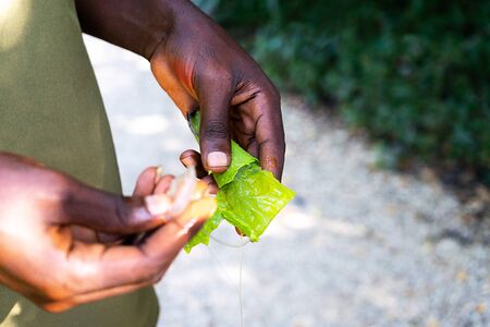 Close-up of african person's hand holding an exotic plant on tropical summer background. Travel concept. Selective focus.の写真素材