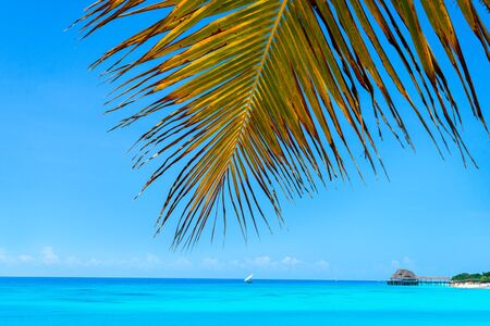 Panoramic view of a beautiful sunny day on sandy beach in the Maldives. Tropical travel concept.の写真素材
