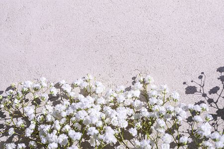 Beautiful bouquet of white flowers with shadows on light gray concrete background. Concept for wedding party, birthday holiday greeting card. Close up, top view, flat lay, copy space. Soft focus.の写真素材
