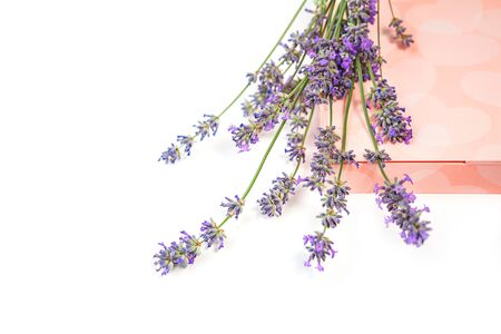 Lavender flowers and gift box with sweets on white background, isolated. Valentines day, beauty, medical clinic, spa concept. Flat lay, copy space.の写真素材