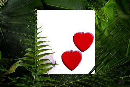 Two red hearts on palm leaves background. Valentines day card on nature background. Flat lay, top view, copy space.の写真素材
