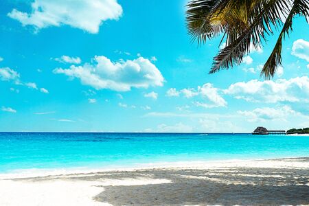 Panoramic view of a beautiful sunny day on sandy beach in the Maldives. Travel concept.の写真素材