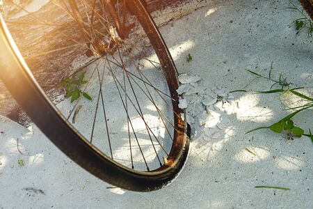 Close up vintage bicycle on green tropical background. Retro style for holiday concept.の写真素材