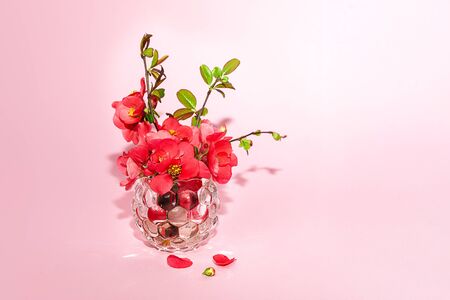 Fresh branches of flower blossoms in glass vase on pastel pink background. Mockup for special offers as advertising or other ideas.の写真素材