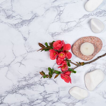 Pink flower branche on white stones on marble background. Flat lay, top view. Beauty nature spring concept. Spa layout. Copy space.の写真素材