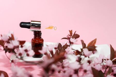 Herbal oil or serum in dropper bottle and cherry blossoms sakura on pink background. Essential natural oil for face and body. Organic layout.の写真素材