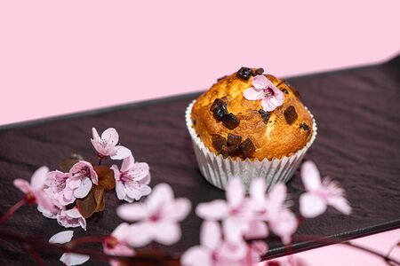 Chocolate muffin and cherry blossoms sakura, homemade bakery on dark and pink background. Food spring concept.の写真素材