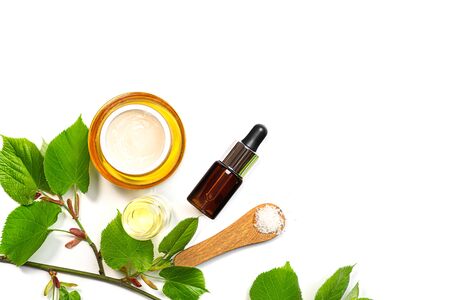 Skin care products, natural cosmetic. Flat lay image on white background Natural cosmetic skincare bottle, serum and organic green leaf. Homemade and beauty product concept.の写真素材