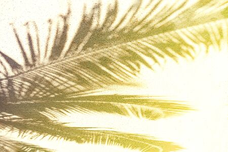 Palm leaf shadow on a white sand on tropical beach. Trendy holiday summer concept. Selective focus.