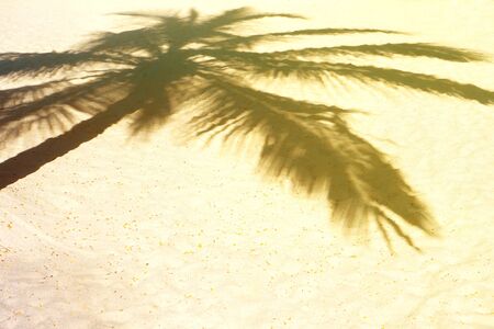Palm tree shadow on a white sand on tropical beach.