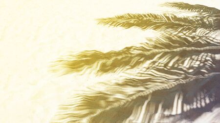 Palm leaf shadow on a white sand on tropical beach.の写真素材