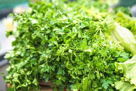 Sales of fresh and organic fruits and vegetables at the green market or farmers market. Citizens buyers choose and buy products for healthy food. female choosing the best parsley. lifestyle.の写真素材