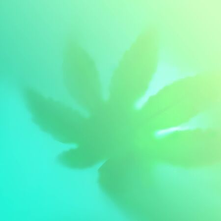 Bright color shadow of leaf marijuana on trendy green blue blurred background. Flat lay. Minimal concept with leaf. Blurred.の写真素材