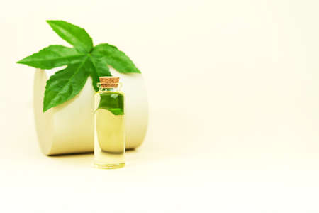 Glass bottle with herbal CBD oil, THC tincture and hemp leaf on pastel beige background. Flat lay, minimal style. Cosmetics CBD oil. Essential natural oils for face and body.の写真素材